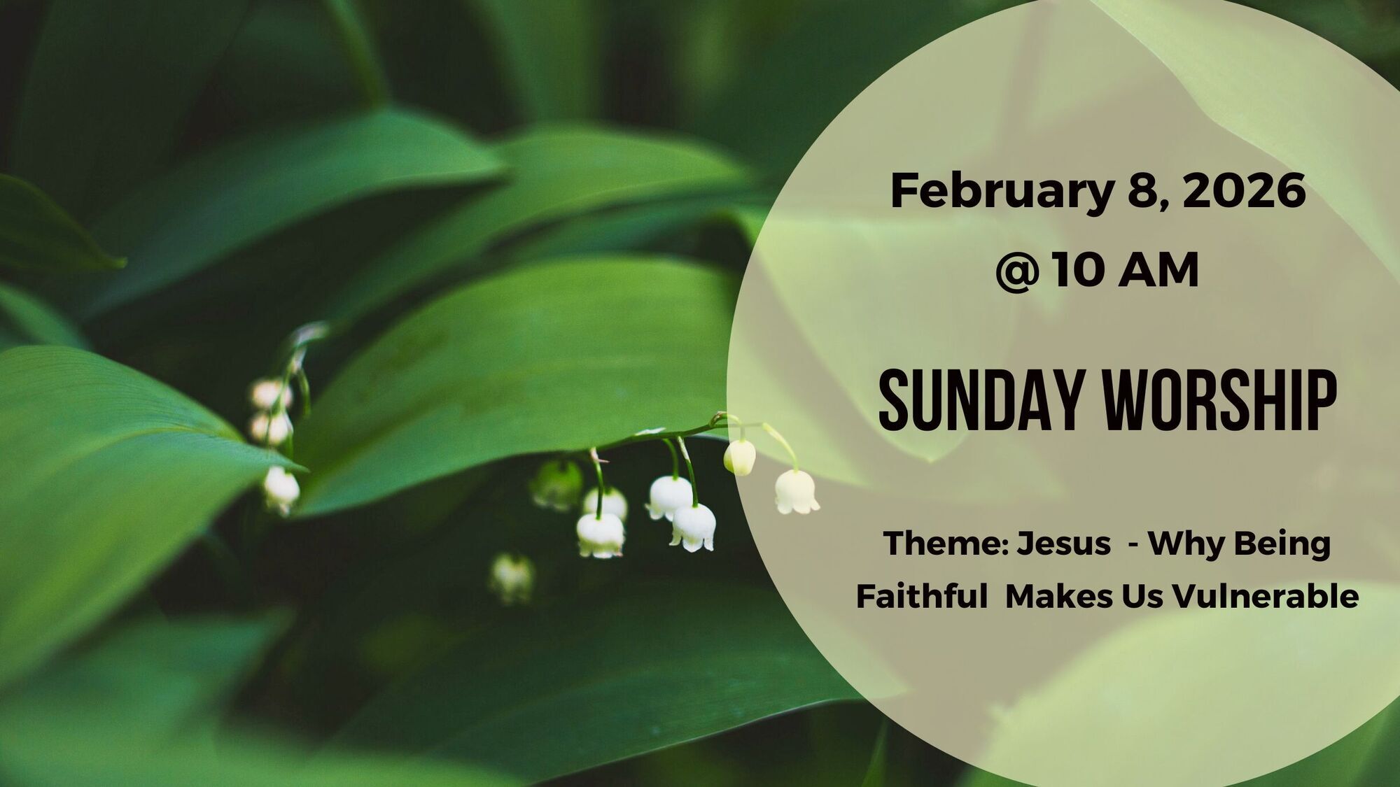 Header Image for Feb 5, 2026