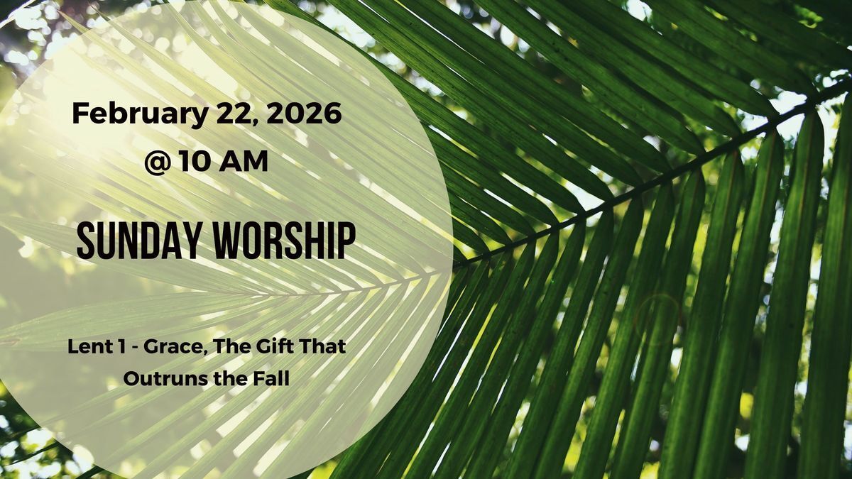 Header Image for Feb 20, 2026